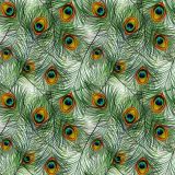 Peacock-Feathers-22.jpg