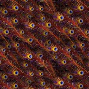 Peacock Feathers 23