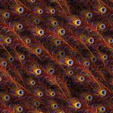 Peacock-Feathers-23.jpg