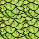 Peacock-Pin-Feathers-22.jpg