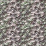Peacock-Wave.jpg