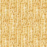 Peanut-Skin-22.jpg