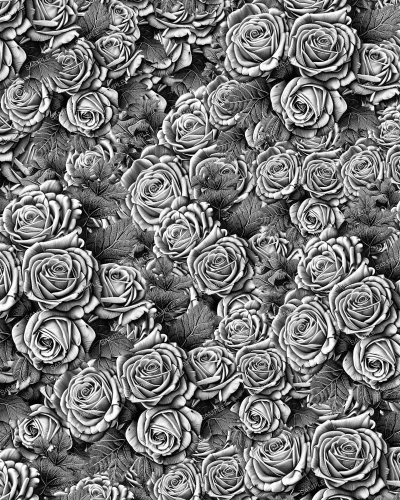 Pencil Sketch of Roses 22