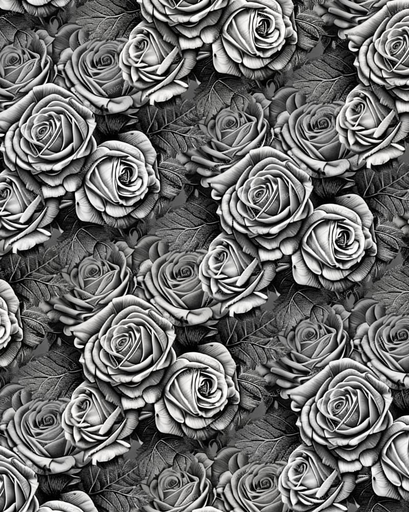 Pencil Sketch of Roses 23