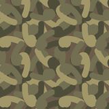 Penis-Camo.jpg