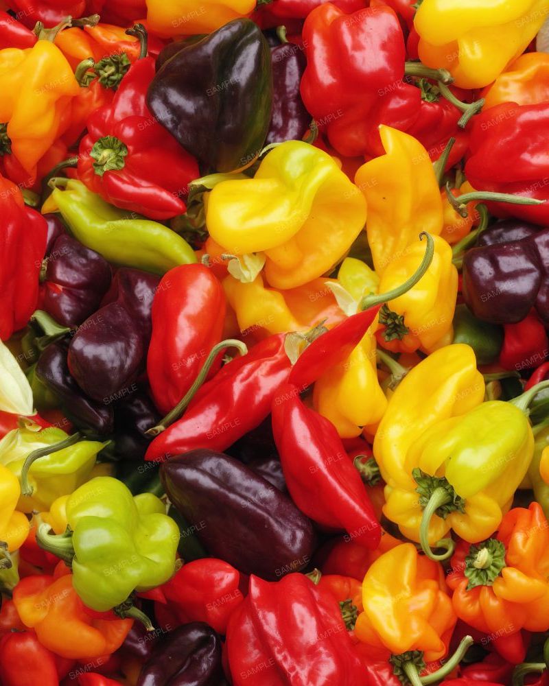 Peppers 42