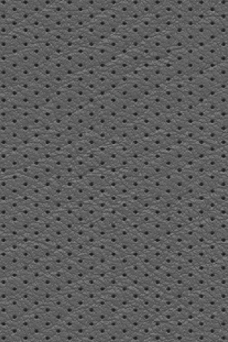 Perforated Leather 22