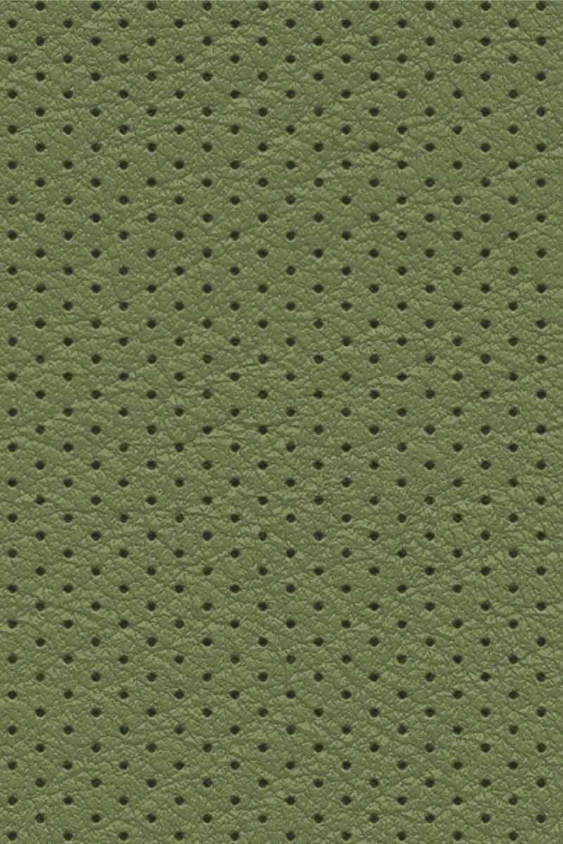 Perforated Leather 23