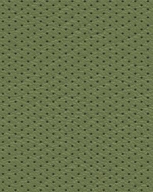 Perforated Leather 23