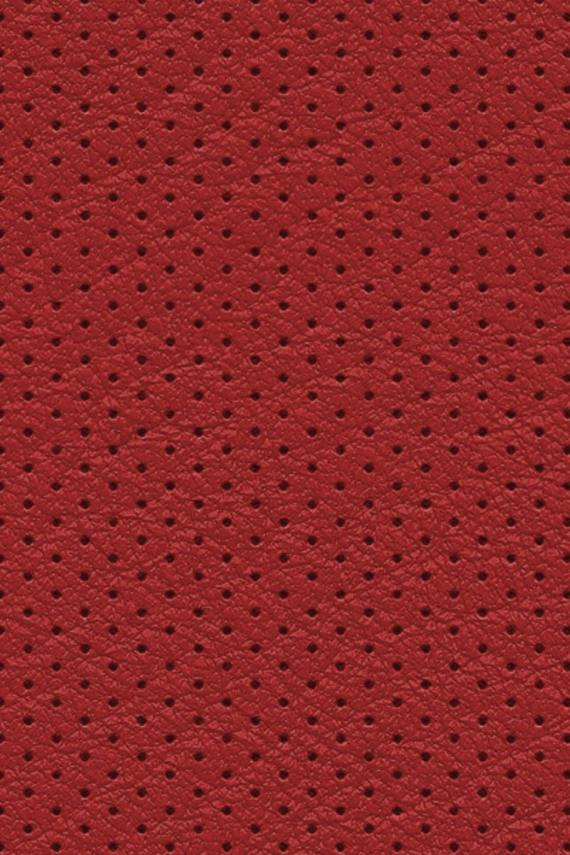 Perforated Leather 24