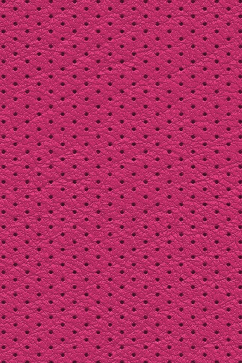 Perforated Leather 25