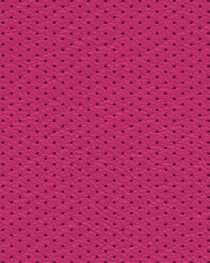 Perforated Leather 25