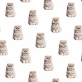 Persians-22.jpg
