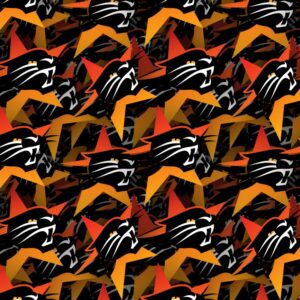 Perth Wildcats 22