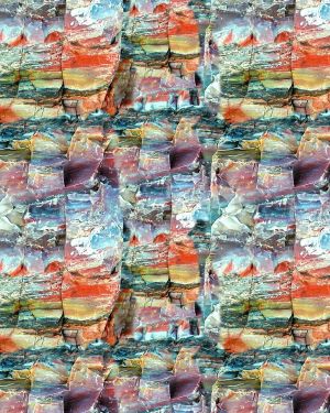 Petrified Wood 22