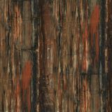 Petrified-Wood-23.jpg