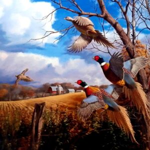 Pheasant Fall