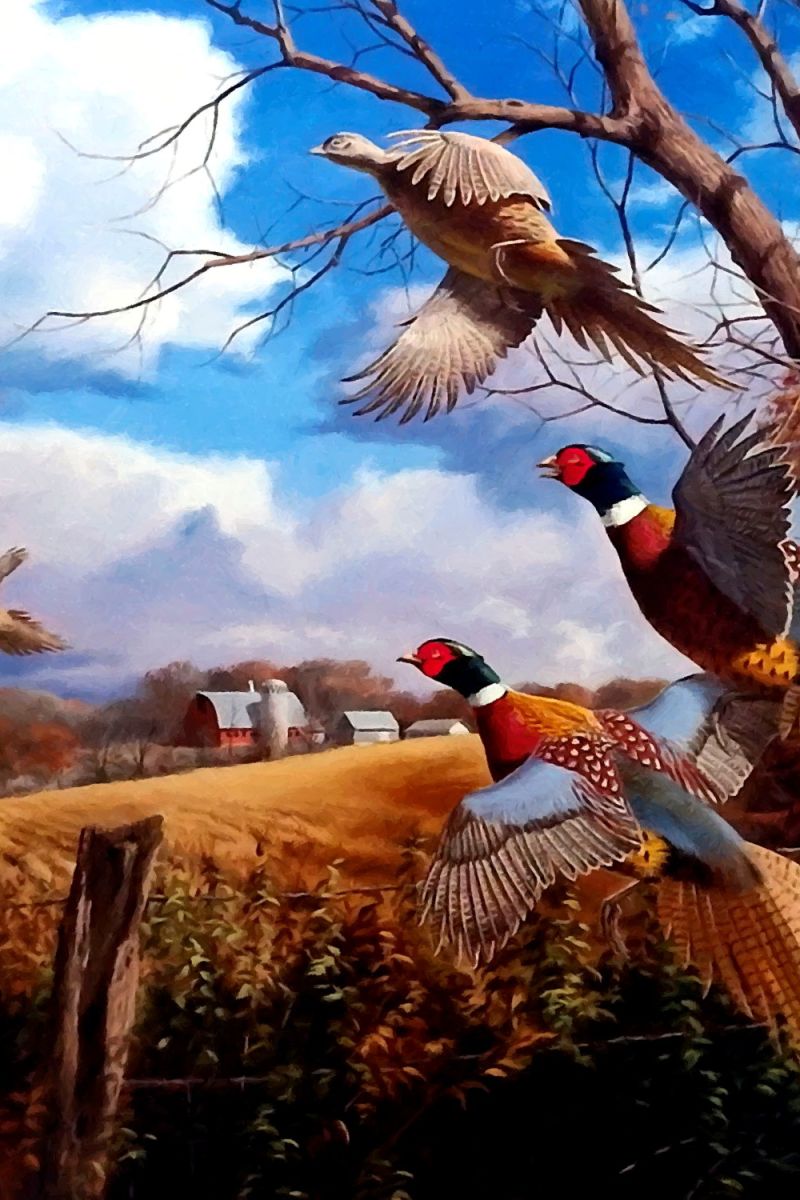 Pheasant Fall