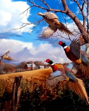 Pheasant Fall