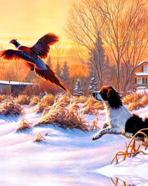 Pheasant Hunter