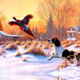 Pheasant-Hunter.jpg