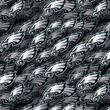 Philadelphia-Eagles-22.jpg