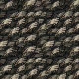 Philadelphia-Eagles-23.jpg