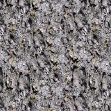 Pine-Bark.jpg