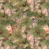 Pine-Berry-Camo.jpg