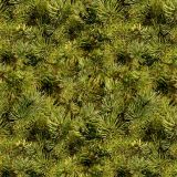 Pine-Needles-23.jpg