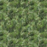Pine-Needles-24.jpg