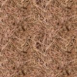 Pine-Straw.jpg
