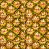 Pineapple-Peel-24.jpg