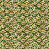 Pineapple-Skin-22.jpg