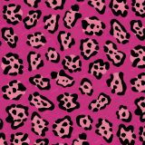 Pink-Jaguar-23.jpg