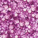 Pink-Money-22.jpg