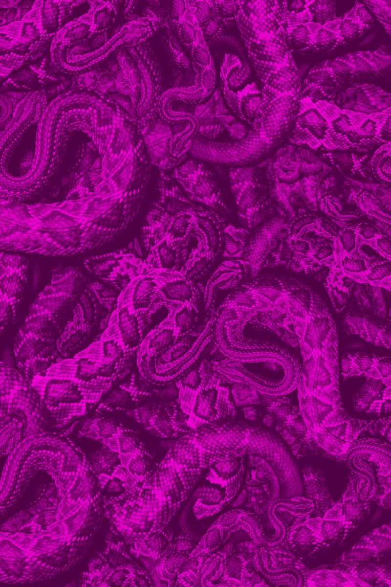 Pink Rattlers