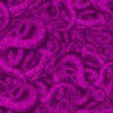 Pink-Rattlers.jpg