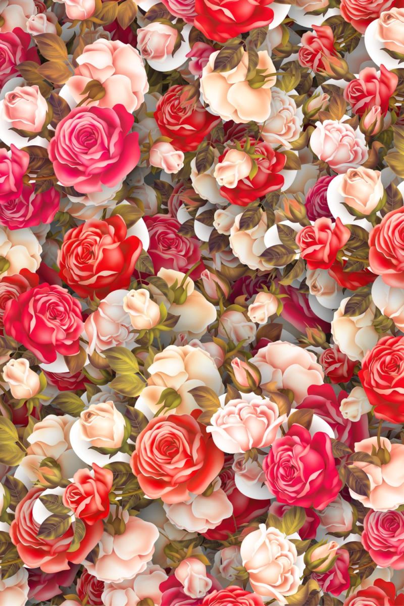 Pink Roses 18