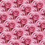 Pink-Roses-22.jpg