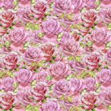 Pink-Roses-23.jpg