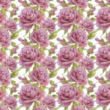 Pink-Roses-25.jpg