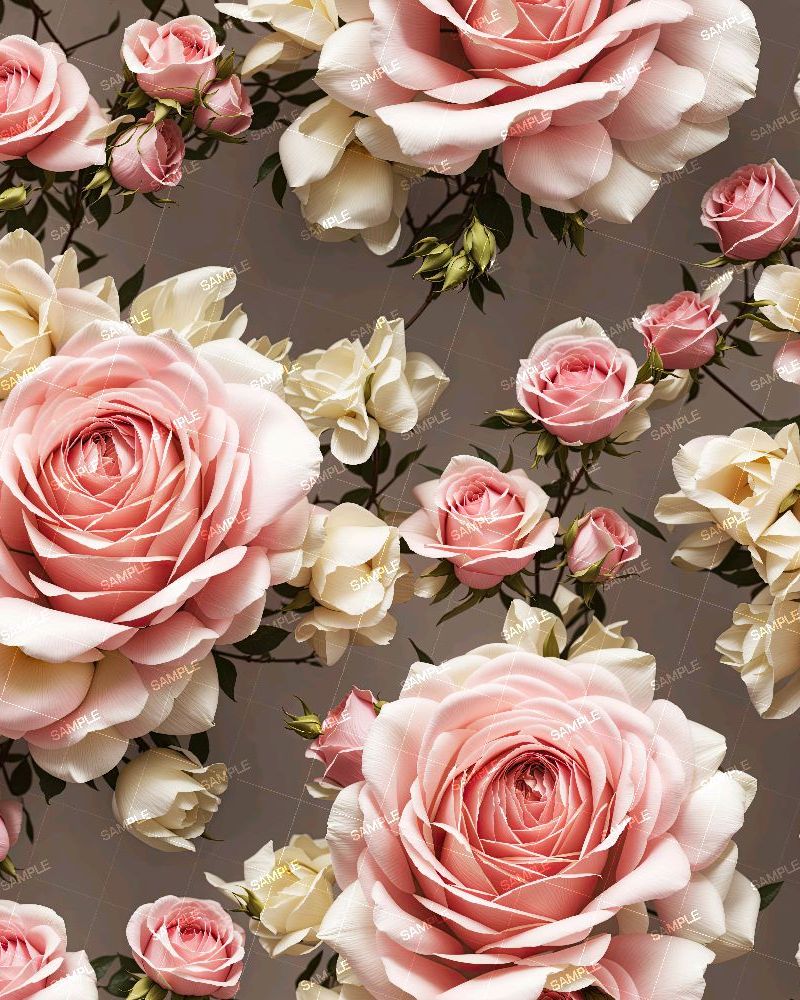 Pink and White Roses 42