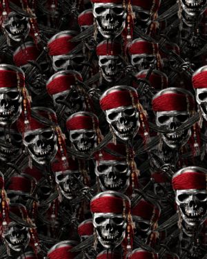 Pirates of the Caribbean Skulls