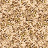 Pistachio-22.jpg