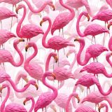 Plastic-Yard-Flamingos-43.jpg