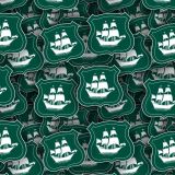 Plymouth-Argyle-FC.jpg