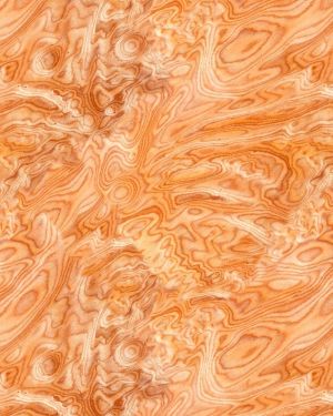 Plywood Veneer 23