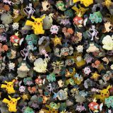 Pokemon-GO-22.jpg
