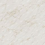 Polished-Marble-54.jpg